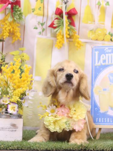 20240416バナナちゃん